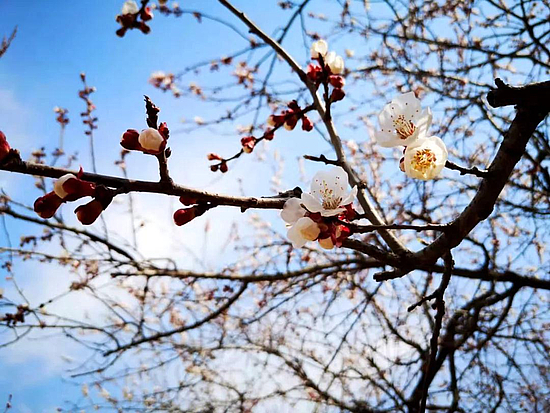 微信圖片_20190318104335.jpg