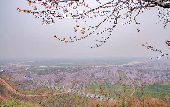 微信圖片_20190318104438.jpg