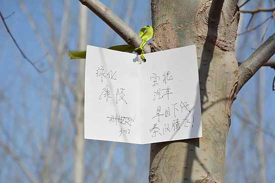 微信圖片_20190313105752.jpg