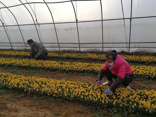 微信圖片_20190108093409.jpg 微信圖片_20190108093409.jpg