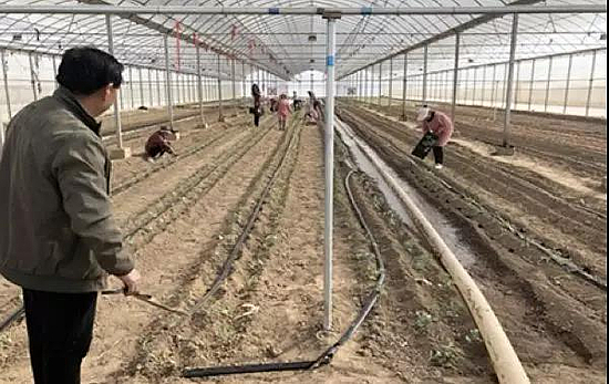 微信圖片_20191114163234.jpg 微信圖片_20191114163234.jpg