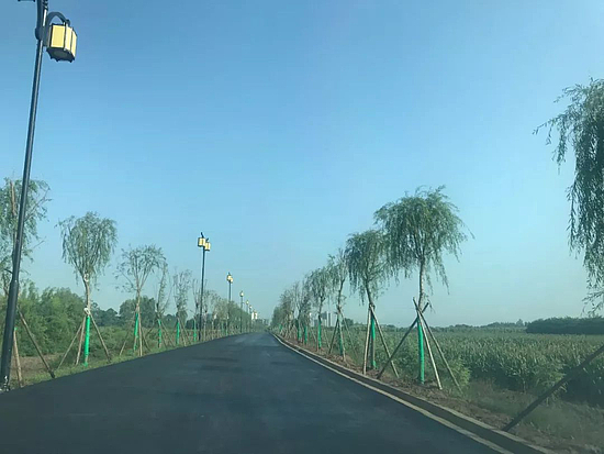 微信圖片_20191114101758.jpg 微信圖片_20191114101758.jpg