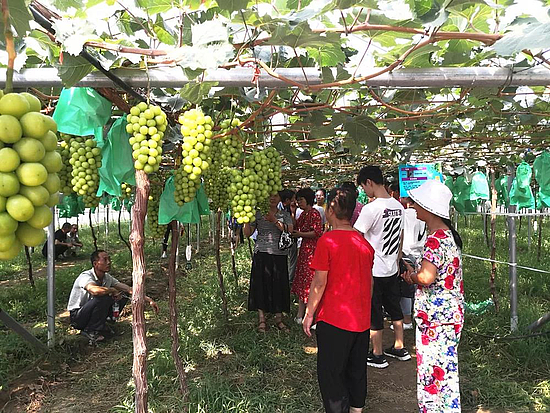 微信圖片_20190826165011.jpg 微信圖片_20190826165011.jpg