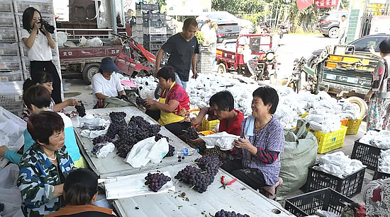 微信圖片_20190826165054.jpg 微信圖片_20190826165054.jpg