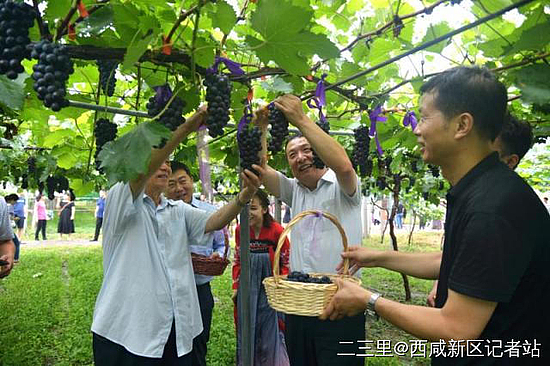 微信圖片_20190807104053.jpg 微信圖片_20190807104053.jpg