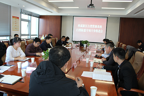 新區召開自然資源系統掃黑除惡專項斗爭推進會.jpg