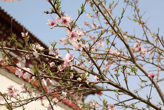 微信圖片_20190418102937.jpg