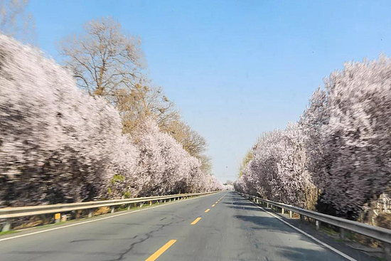 微信圖片_20190415100602.jpg