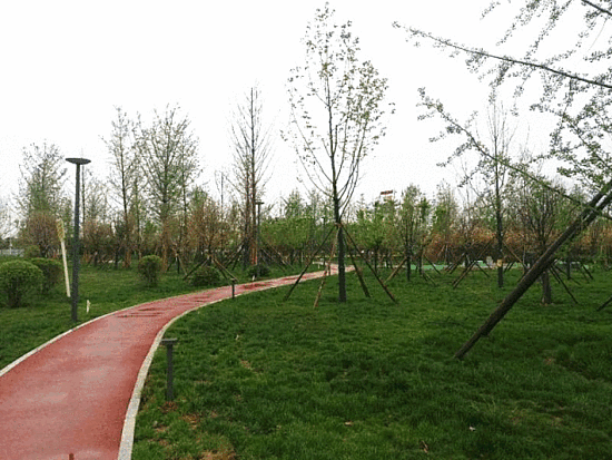 微信圖片_20190307164600.gif