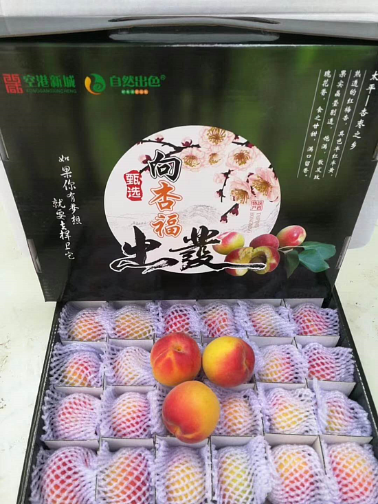 微信圖片_20200615094924.png