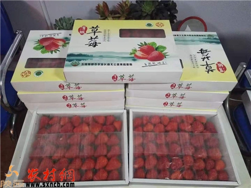 微信圖片_20191225154830.jpg
