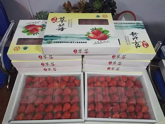 微信圖片_20191213091550.jpg
