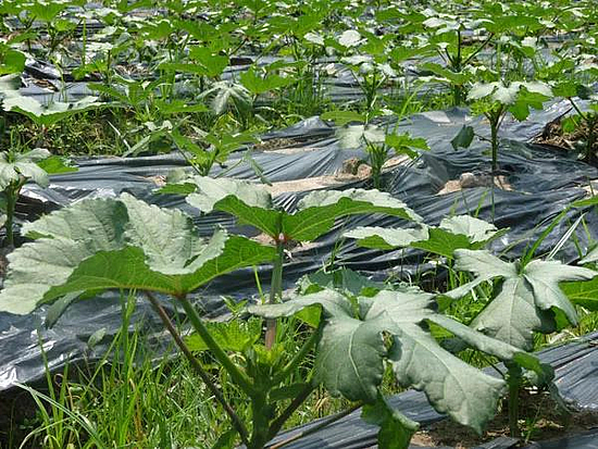 微信圖片_20191128164618.jpg 微信圖片_20191128164618.jpg