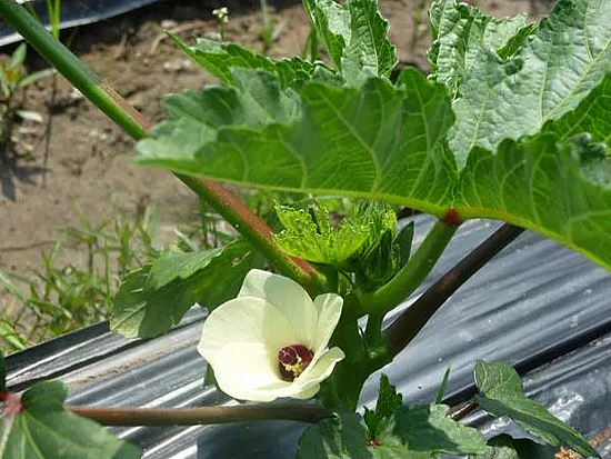 微信圖片_20191128164535.jpg 微信圖片_20191128164535.jpg