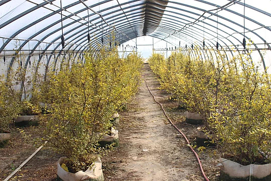 微信圖片_20191119155054.jpg 微信圖片_20191119155054.jpg