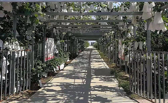 微信圖片_20191119155051.jpg 微信圖片_20191119155051.jpg