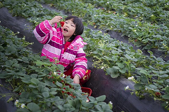 微信圖片_20191113174629.jpg 微信圖片_20191113174629.jpg