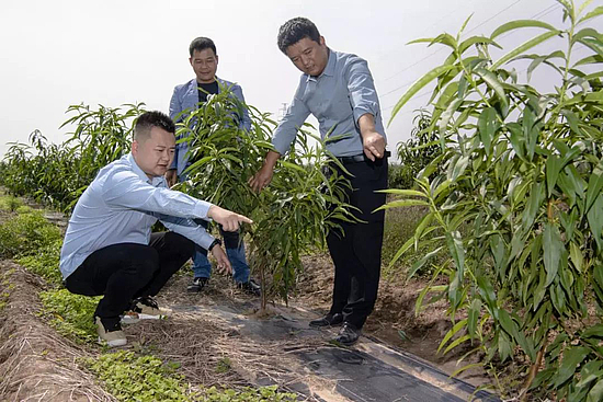 微信圖片_20191030102902.jpg 微信圖片_20191030102902.jpg