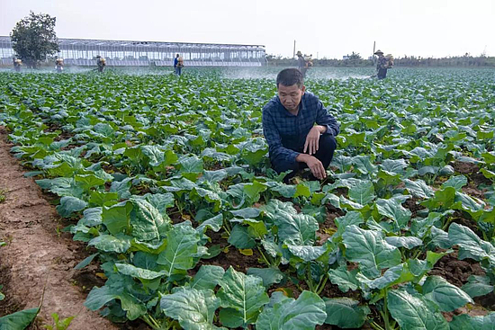 微信圖片_20191030102836.jpg 微信圖片_20191030102836.jpg