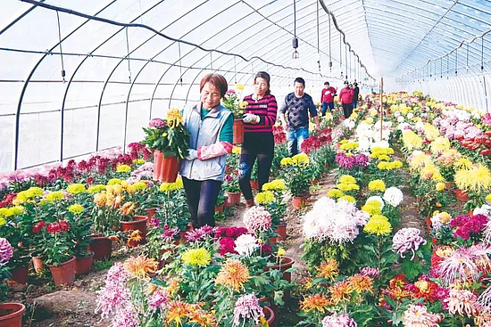 微信圖片_20191021113334.jpg 微信圖片_20191021113334.jpg