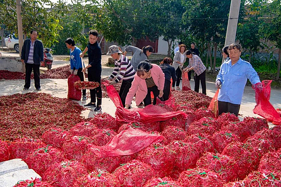 微信圖片_20191021113403.jpg 微信圖片_20191021113403.jpg