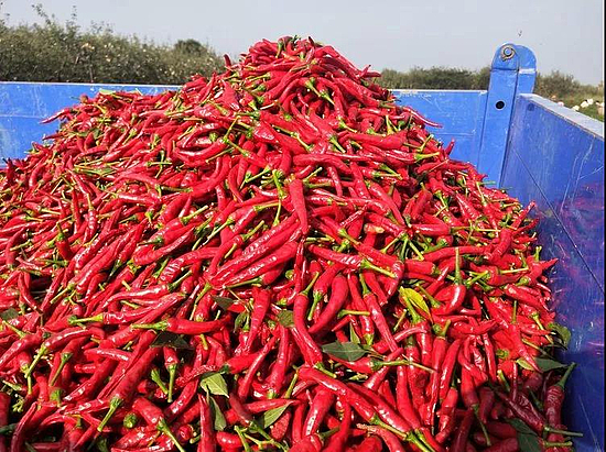 微信圖片_20191008144212.jpg 微信圖片_20191008144212.jpg