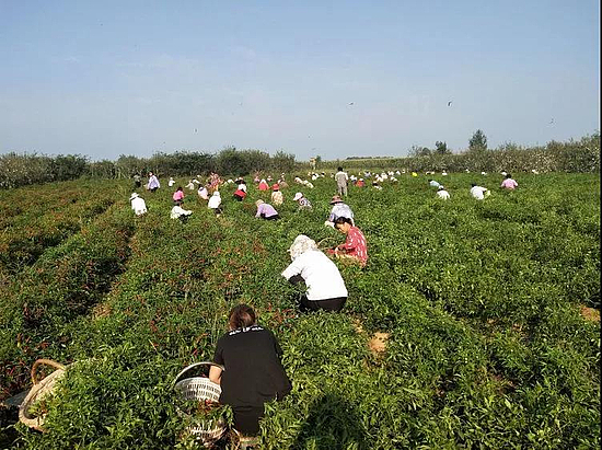 微信圖片_20191008144154.jpg 微信圖片_20191008144154.jpg