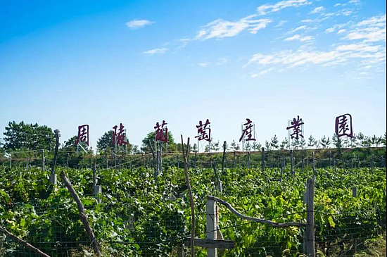 微信圖片_20190826163619.jpg 微信圖片_20190826163619.jpg