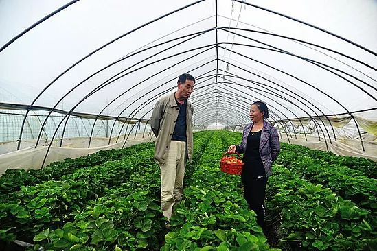 微信圖片_20190711105349.jpg 微信圖片_20190711105349.jpg