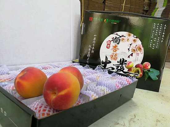 微信圖片_20190610090904.jpg 微信圖片_20190610090904.jpg