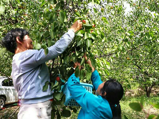 微信圖片_20190610090810.jpg 微信圖片_20190610090810.jpg