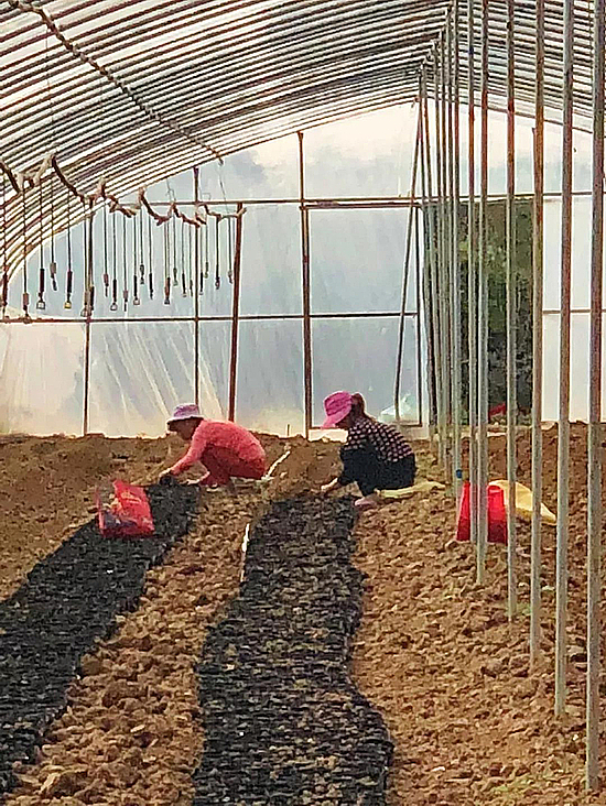 20181022dt0wafmxut.jpg 20181022dt0wafmxut.jpg