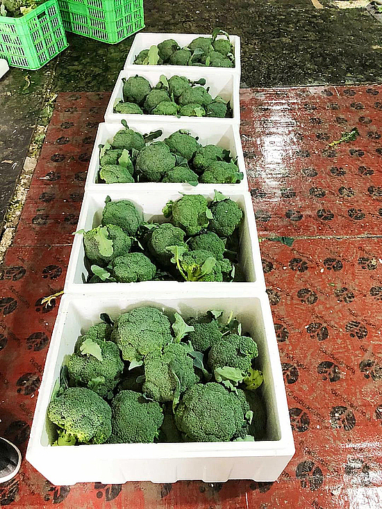 20181022yzibkyohyw.jpg 20181022yzibkyohyw.jpg