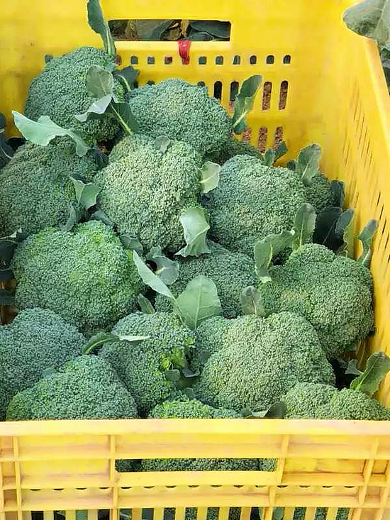 2018102284vemlykgx.jpg 2018102284vemlykgx.jpg