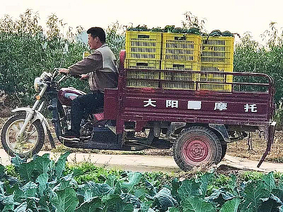 20181022j9d8vr7c90.jpg 20181022j9d8vr7c90.jpg