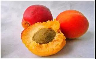 微信圖片_20180524105446.jpg 微信圖片_20180524105446.jpg