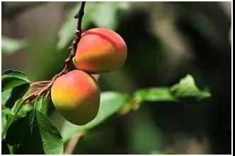 微信圖片_20180524105229.jpg 微信圖片_20180524105229.jpg