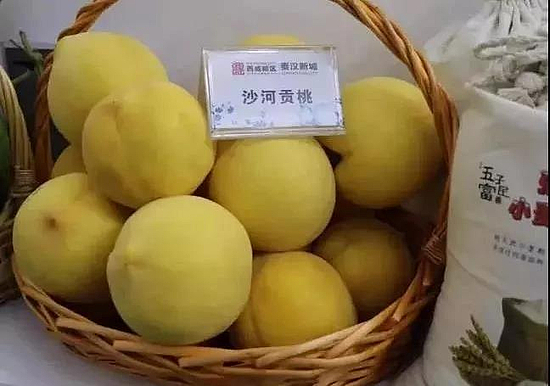 微信圖片_20191219101738.jpg