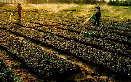 微信圖片_20191031110728.jpg 微信圖片_20191031110728.jpg