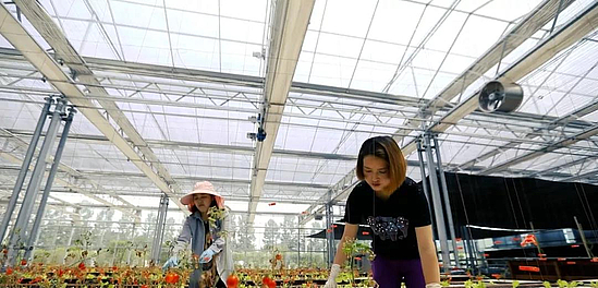 微信圖片_20191031112954.jpg 微信圖片_20191031112954.jpg