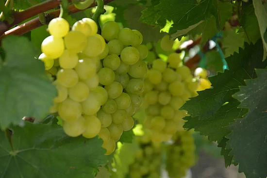 微信圖片_20190830120839.jpg 微信圖片_20190830120839.jpg