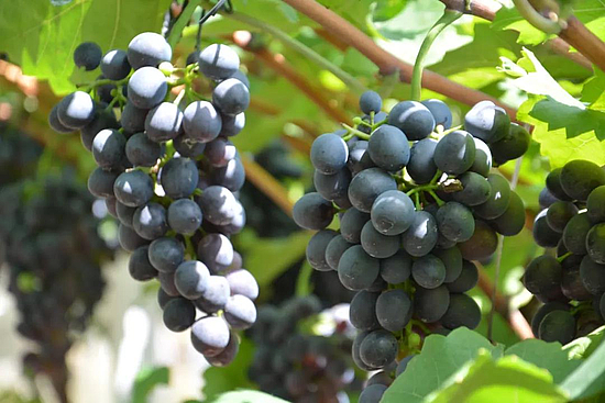 微信圖片_20190830120833.jpg 微信圖片_20190830120833.jpg