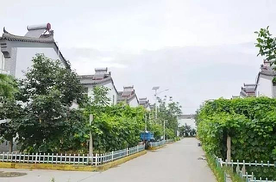 微信圖片_20190731184607.jpg 微信圖片_20190731184607.jpg