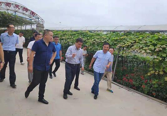 1562143453(1).jpg 1562143453(1).jpg