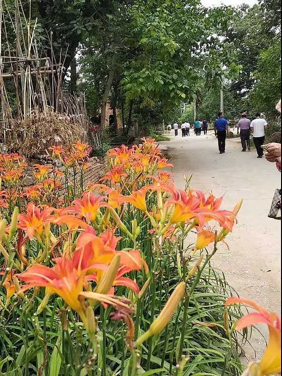 微信圖片_20190702175914.jpg 微信圖片_20190702175914.jpg