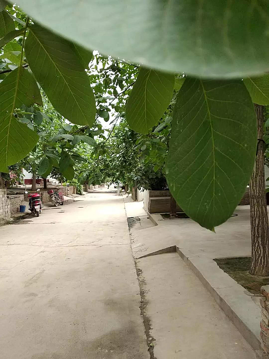 微信圖片_20190702175908.jpg 微信圖片_20190702175908.jpg