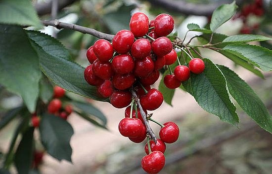 微信圖片_20190531171603.jpg 微信圖片_20190531171603.jpg