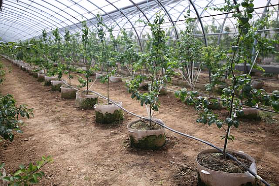 微信圖片_20190531171650.jpg 微信圖片_20190531171650.jpg