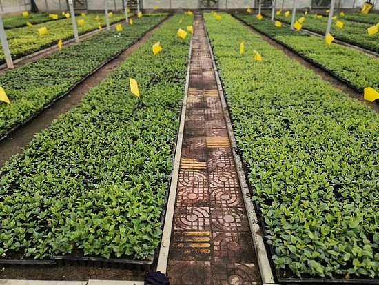 微信圖片_20190531171002.jpg 微信圖片_20190531171002.jpg