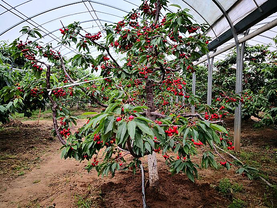 微信圖片_20190531171012.jpg 微信圖片_20190531171012.jpg